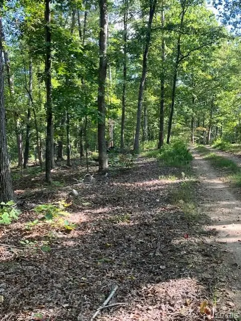 172 Madison CR 410, Fredericktown, MO 63645