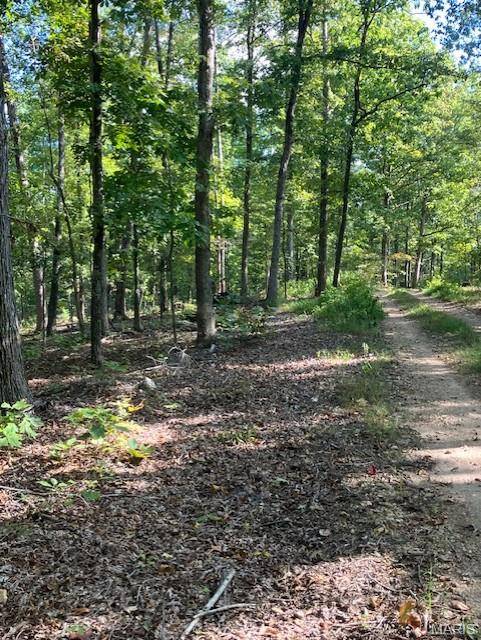 172 Madison CR 410, Fredericktown, MO 63645