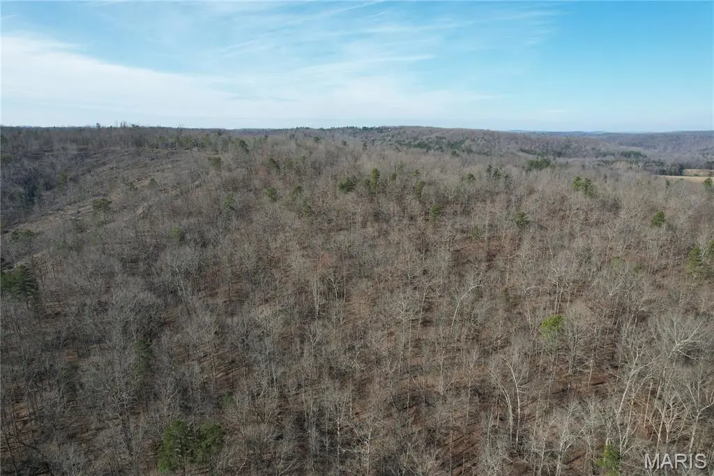 10535 Hwy 67, Fredericktown, MO 63645