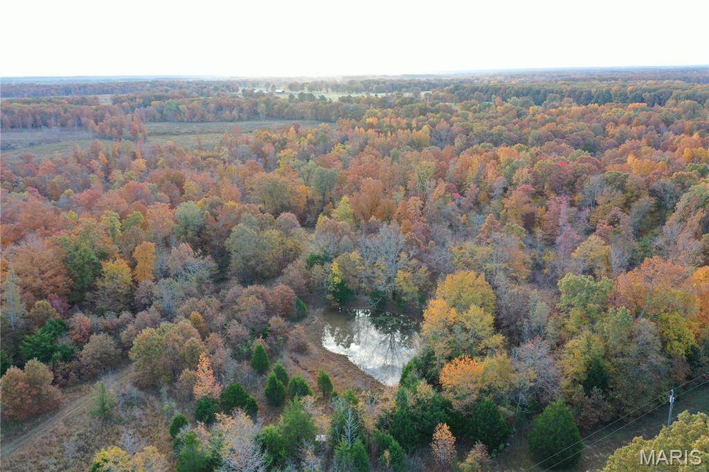 TBD Tract 2 Bobwhite Lane, Fairdealing, MO 63939