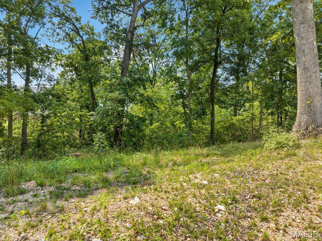 204 Ella Rose LN, St Charles, MO 63304