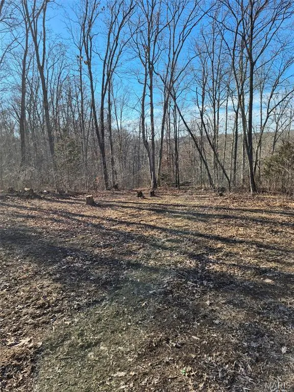 0 Catawba DR, De Soto, MO 63020