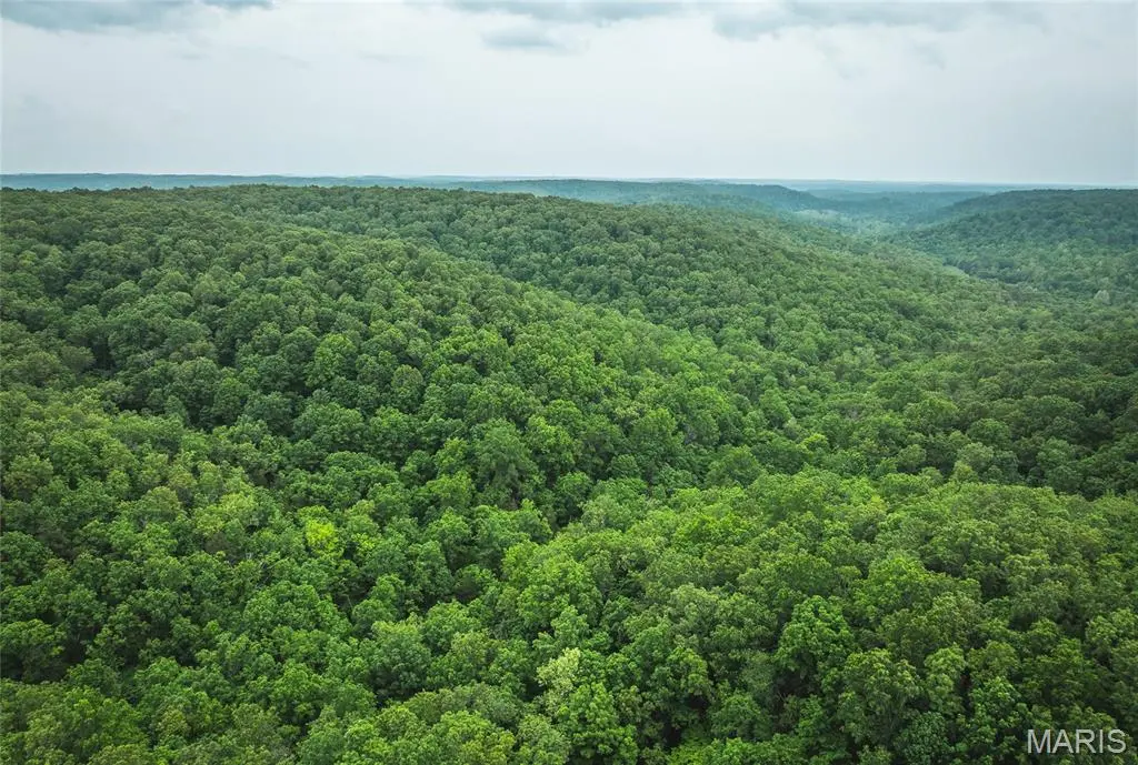 0 County Road 6280 Tract 1, Jadwin, MO 65502