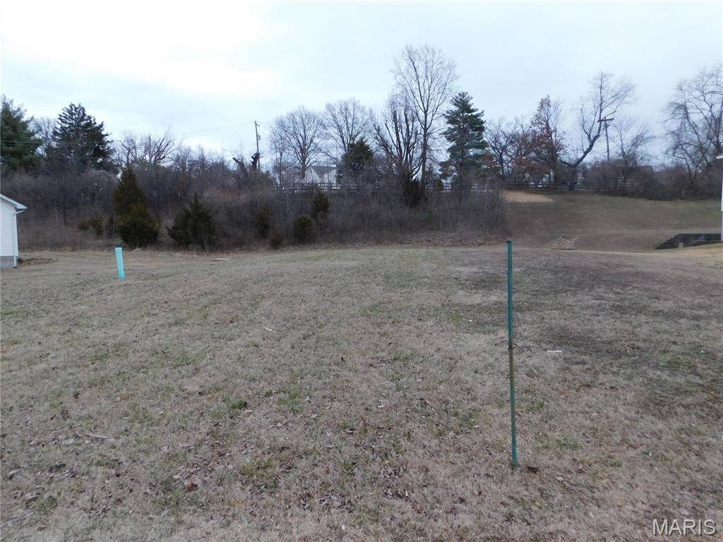 12023 Parker Estates CT, Florissant, MO 63033