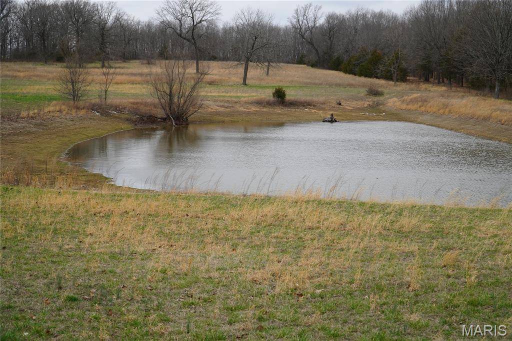 18143 Oasis DR, Phillipsburg, MO 65722