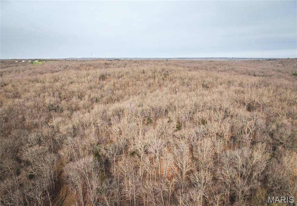 000 County Road 3600 Tract 1, St James, MO 65559