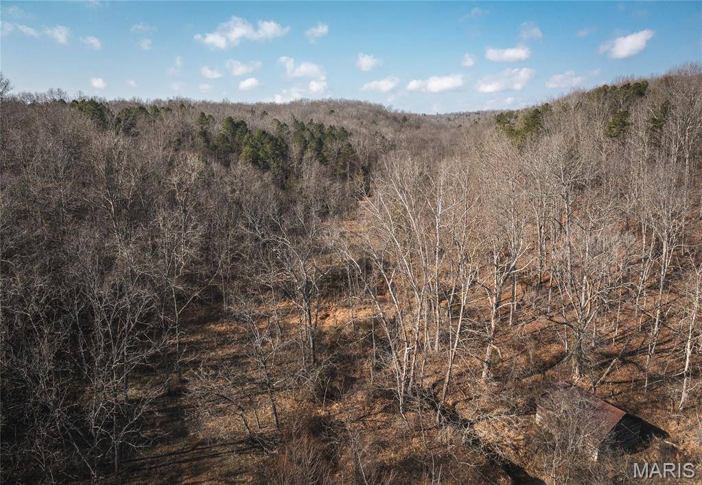 0000 County Road 404, Tract 2, Ellington, MO 63638