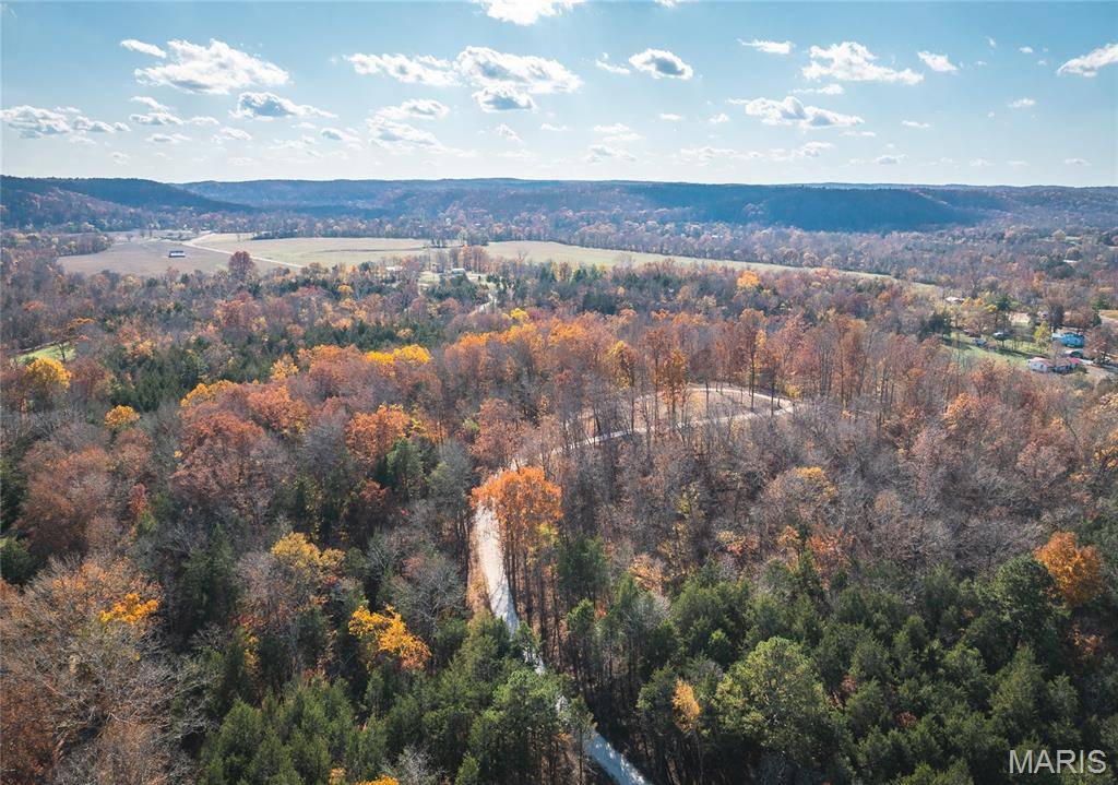 0 Highway 21 Lot 1, Lesterville, MO 63654