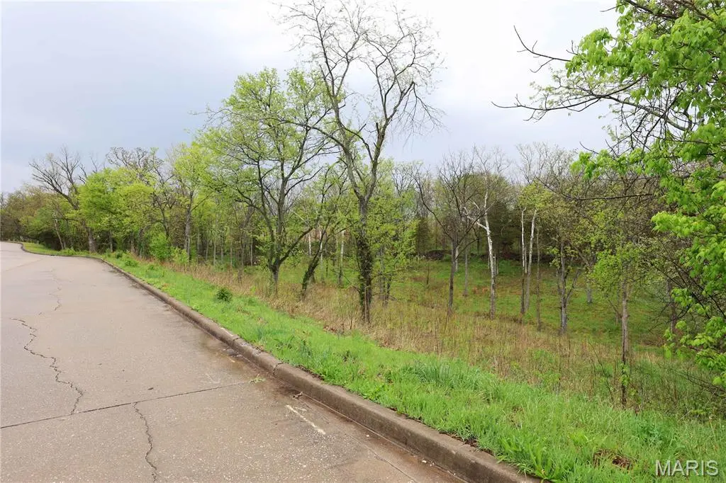 Lot 12,13,14 Dorothy Dr, Perryville, MO 63775