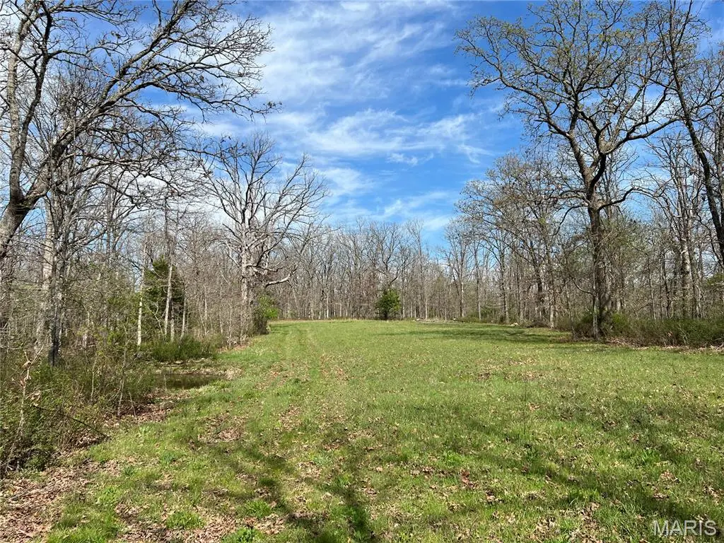 24755 MAYAPPLE LN, Lebanon, MO 65536