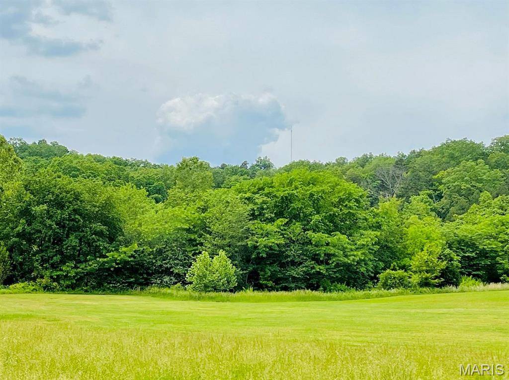 0 Deer Run Plat 12 Lot 18, Van Buren, MO 63965