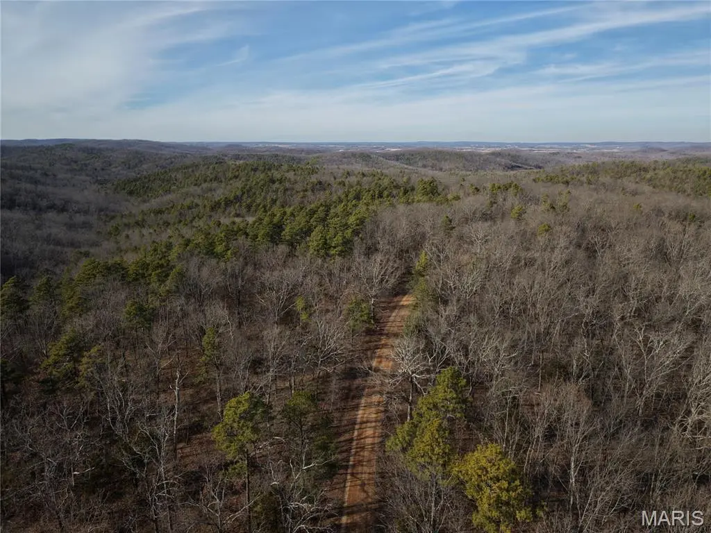 Tract 1 Bidwell Creek RD, Womack, MO 63645
