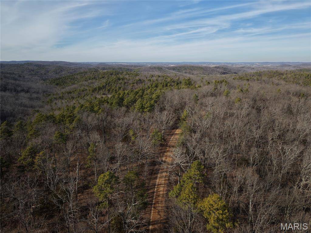 Tract 1 Bidwell Creek RD, Womack, MO 63645