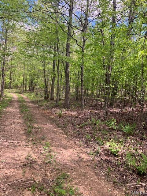 223 Madison CR 410, Fredericktown, MO 63645