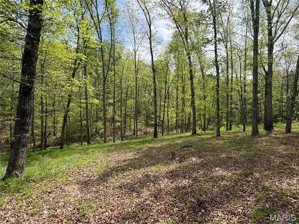 10405 County Road 700, Centerville, MO 63633