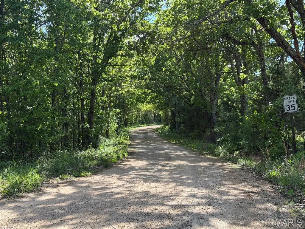 4215 Tract 2 COUNTY RD 4215, Salem, MO 65560
