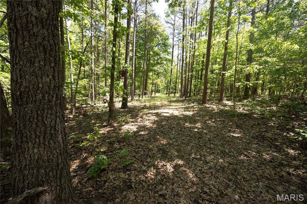 Tract 4 BCR 930, Patton, MO 63662