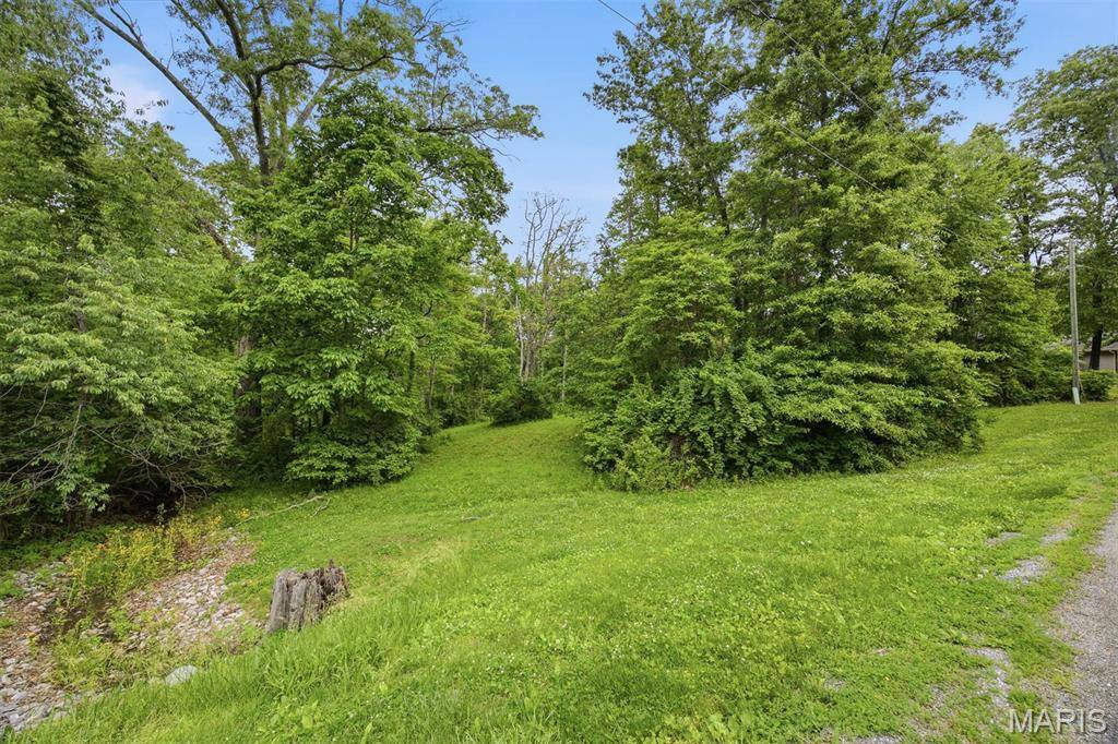 XXX Joseph Drive, Pocahontas, IL 62275