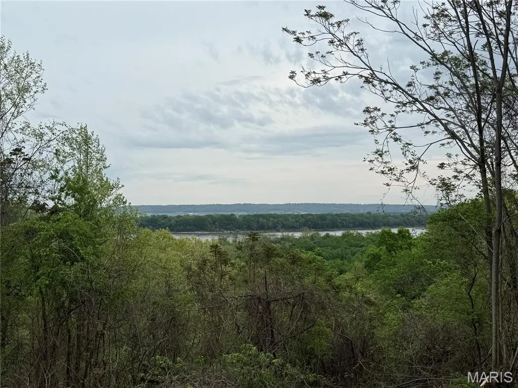 11365 River Hills RD, Festus, MO 63028