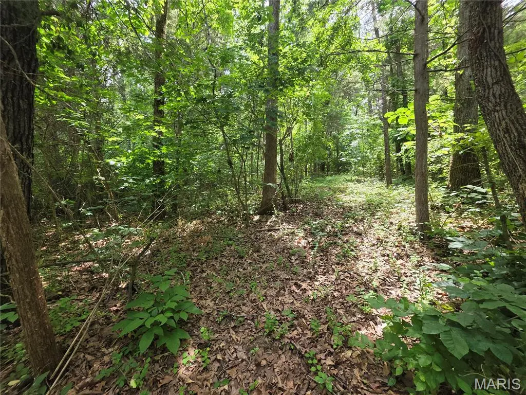0 S Lake Shore DR, Hillsboro, MO 63050