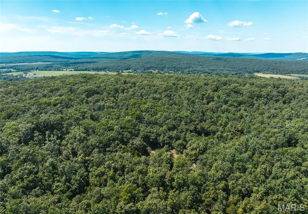 5 Buck Mountain Road, Doe Run, MO 63637
