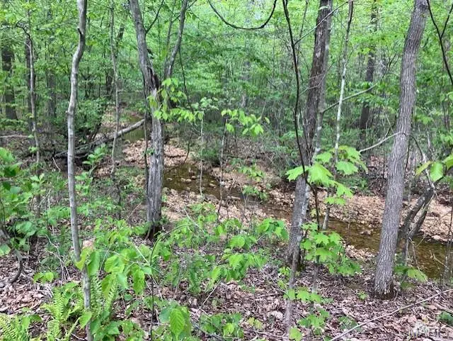 244 Madison CR 410, Fredericktown, MO 63645