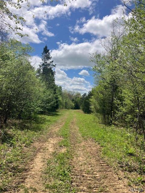 246 Madison CR 410, Fredericktown, MO 63645