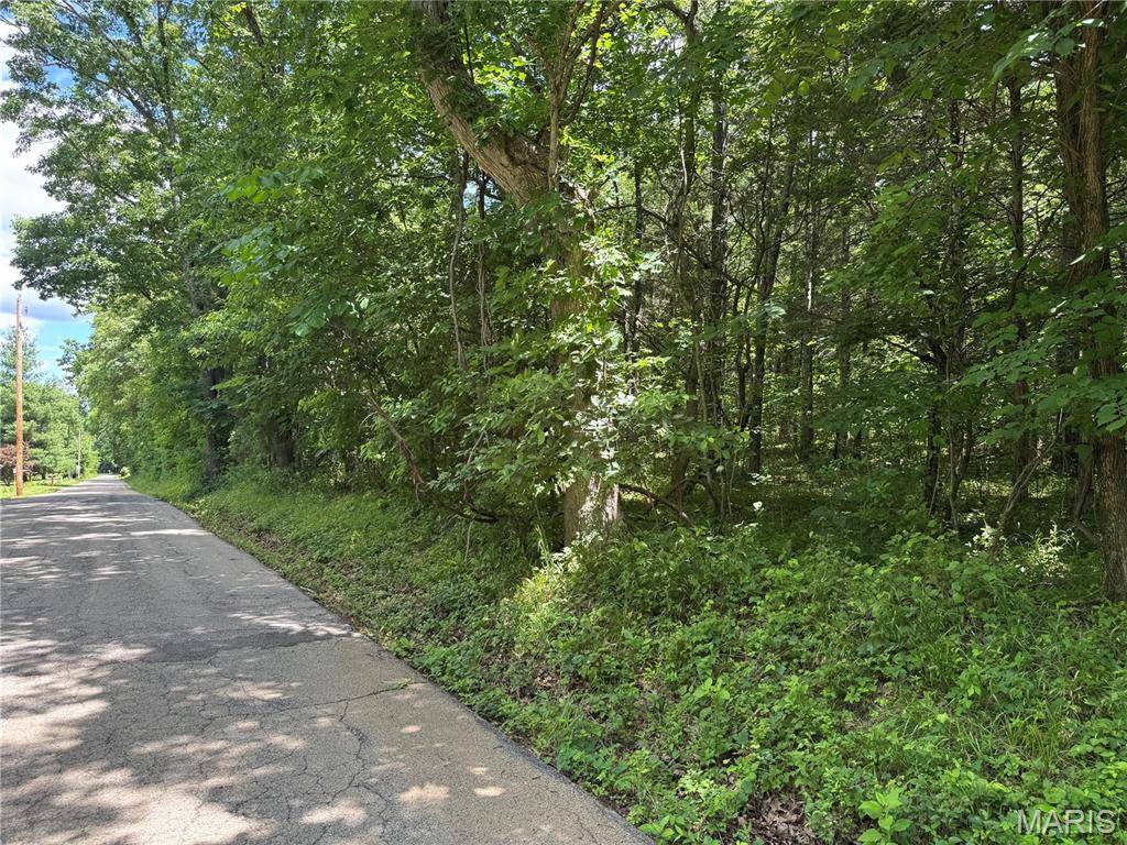0 Old St Louis RD, Valles Mines, MO 63087