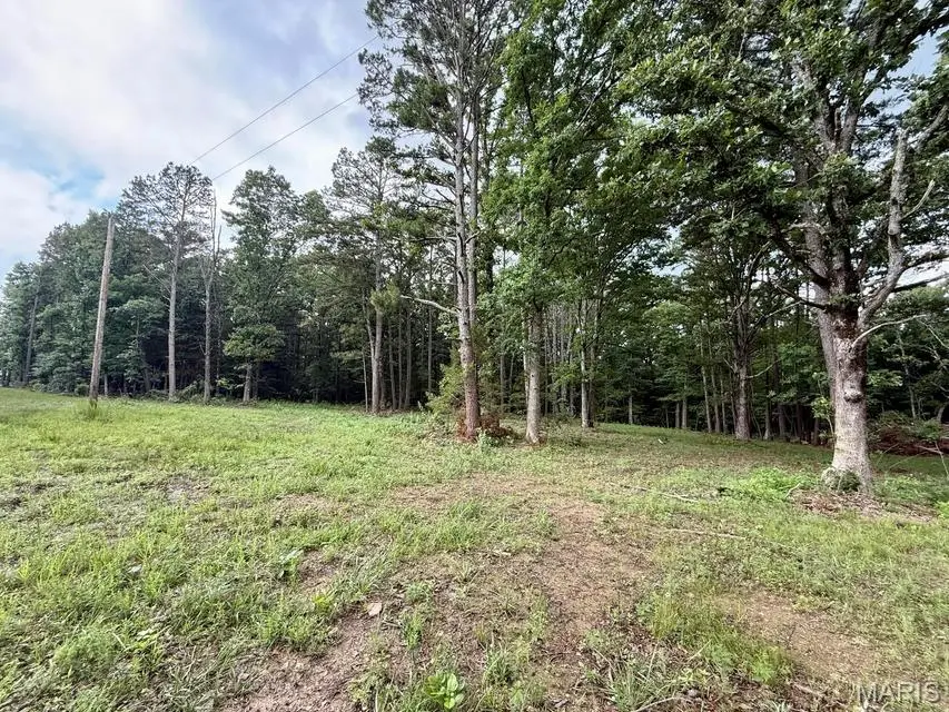 000 West Highway 32, Licking, MO 65542