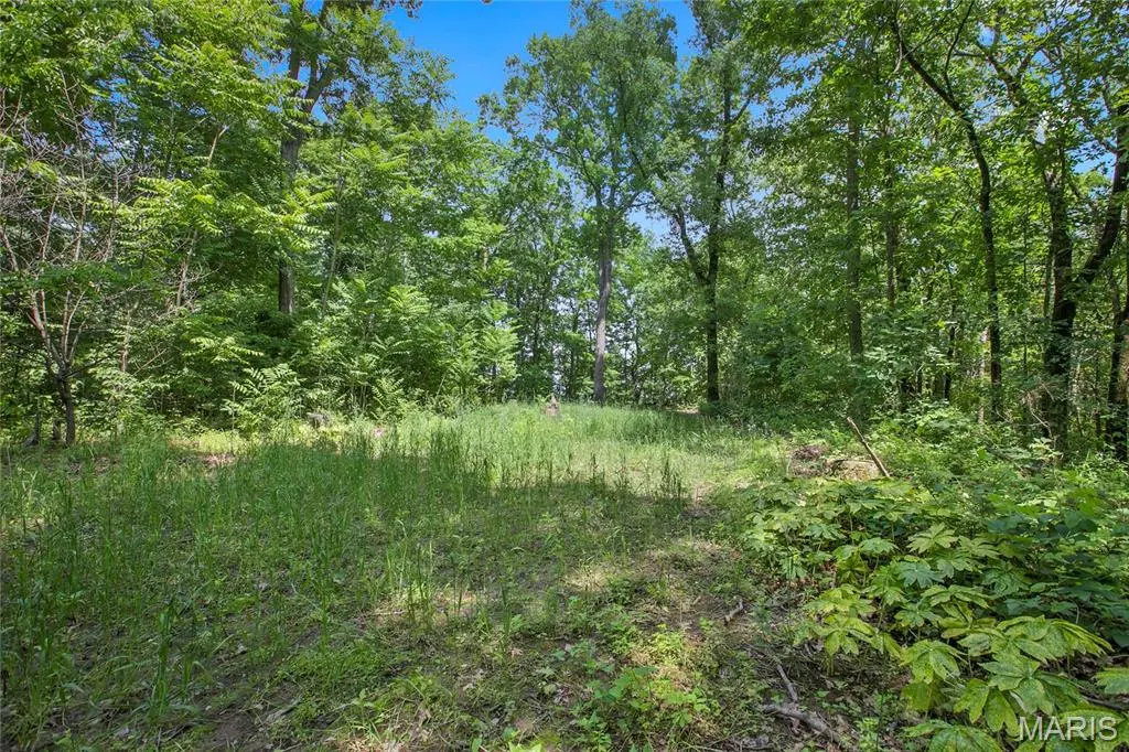 8.75 acres Mississippi Queen CT, Festus, MO 63028