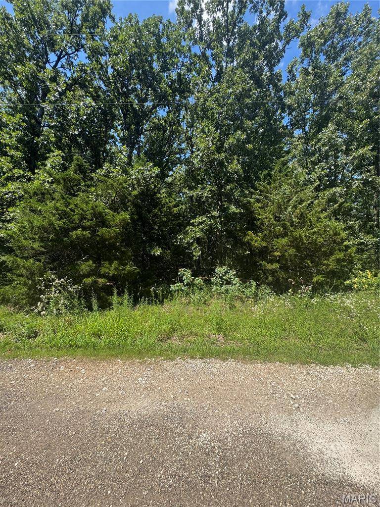 641 Briarwood DR, St Clair, MO 63077