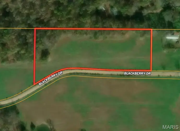 00 M- Blackberry DR, Summersville, MO 65571