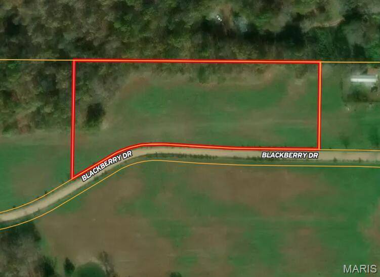 00 M- Blackberry DR, Summersville, MO 65571