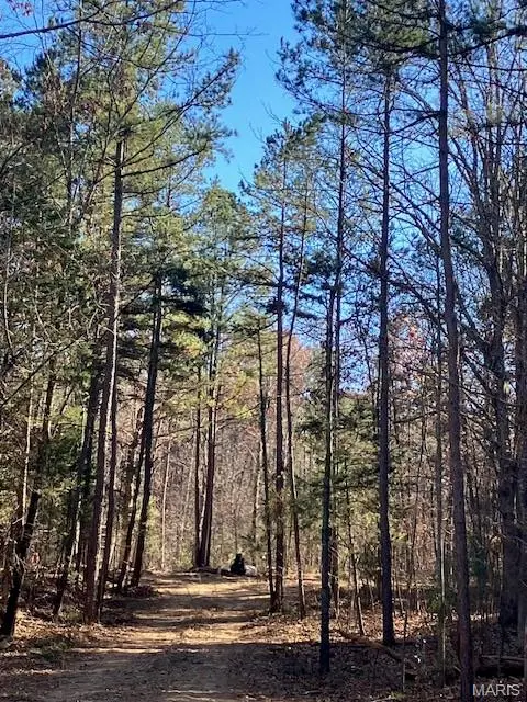 254 Madison CR 410, Fredericktown, MO 63645