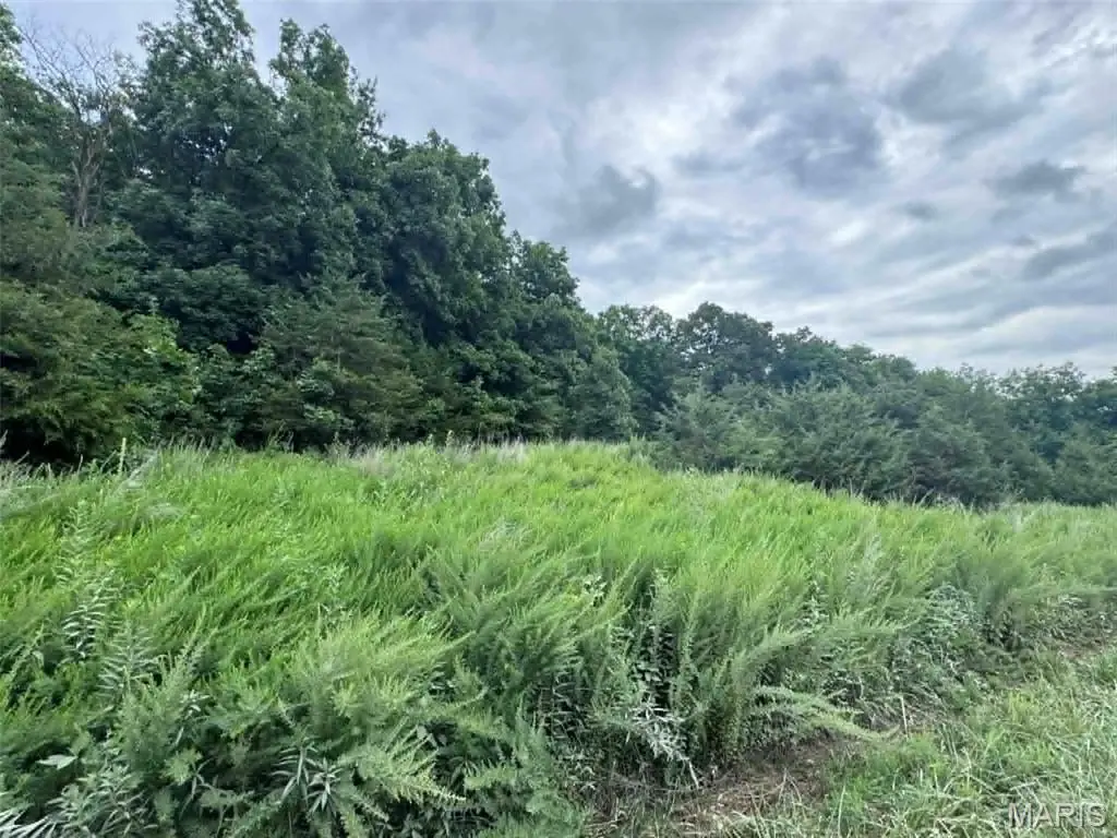 0 Walnut Street Place, New London, MO 63459