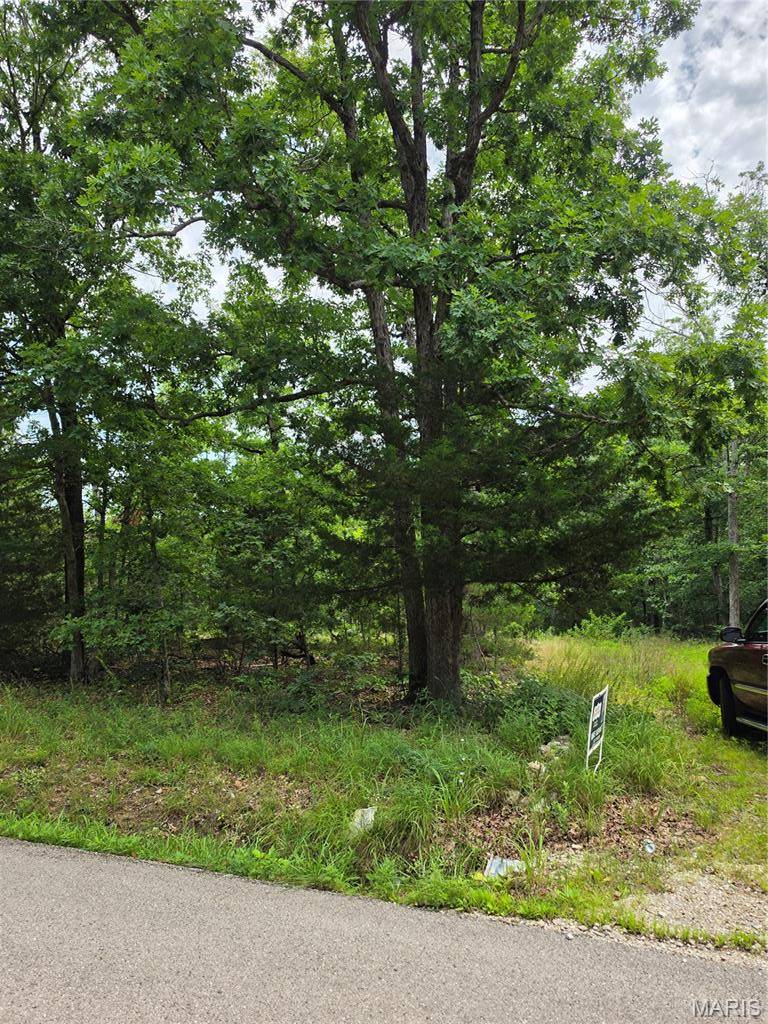 23675 Grandview RD, Lebanon, MO 65536