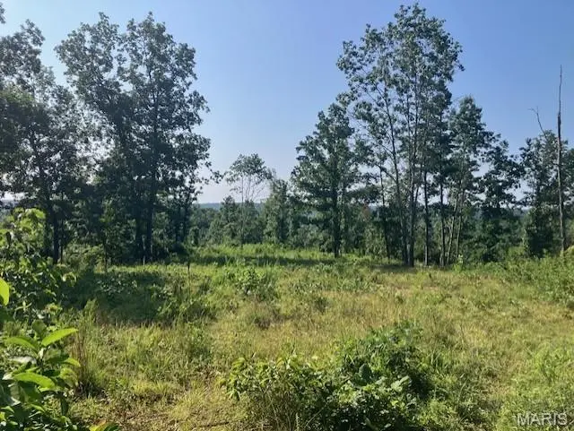 131 Madison CR 410, Fredericktown, MO 63645