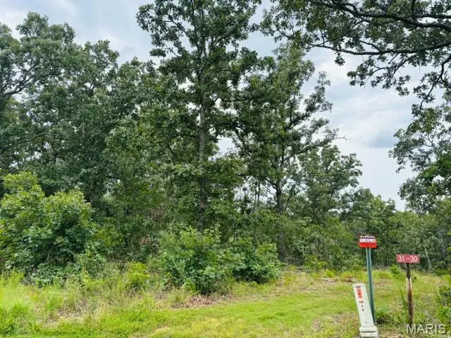 lot 31 W Hickory Ridge RD, Steelville, MO 65565