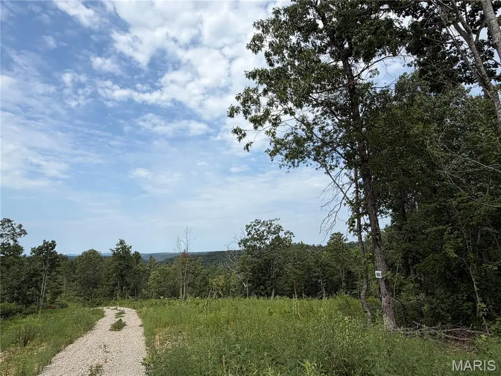 #401 Madison 410, Fredericktown, MO 63645