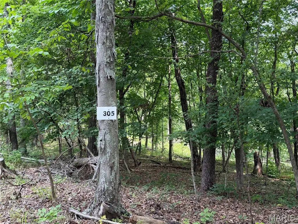 #305 Madison 410, Fredericktown, MO 63645