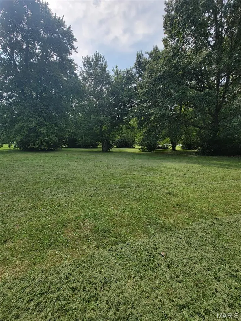 TBD S Walnut ST, Litchfield, IL 62056