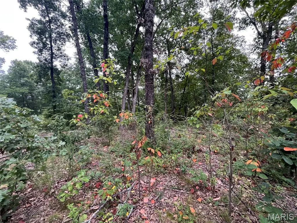000 Partridge, Climax Springs, MO 65324