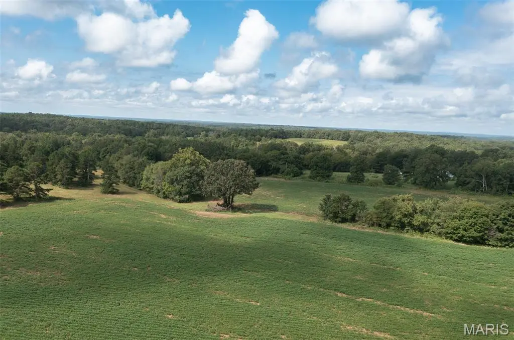 Tract 1 BCR 810, Glen Allen, MO 63645