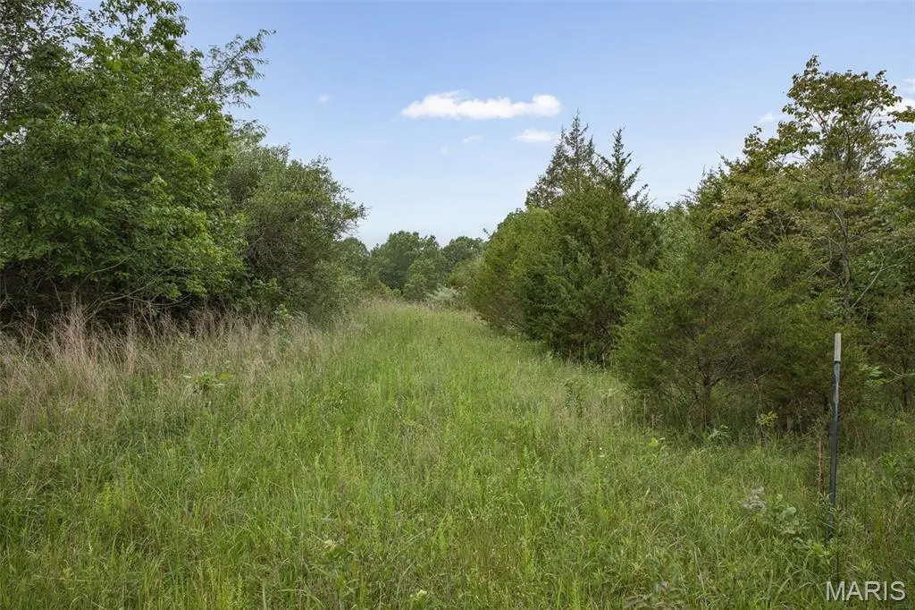 9449 Hillsboro House Springs, Hillsboro, MO 63050