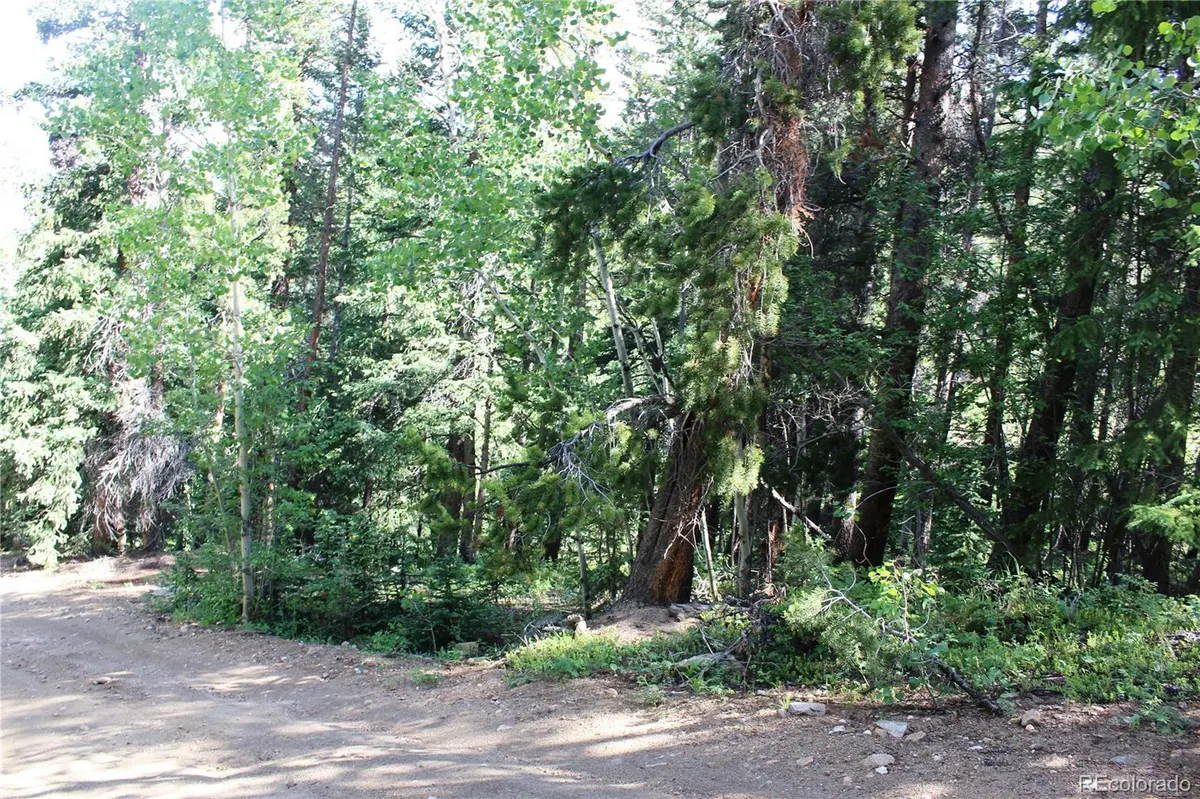 Lot 31 Sunflower RD, Black Hawk, CO 80422