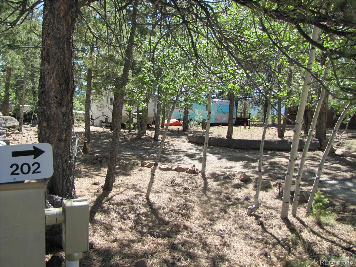19 Lantern LOOP, Hartsel, CO 80449