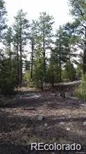 13 Tract 2 Costilla PL, Alamosa, CO 81101