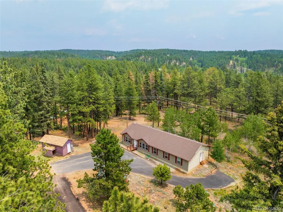 156 Fossil Creek RD, Florissant, CO 80816