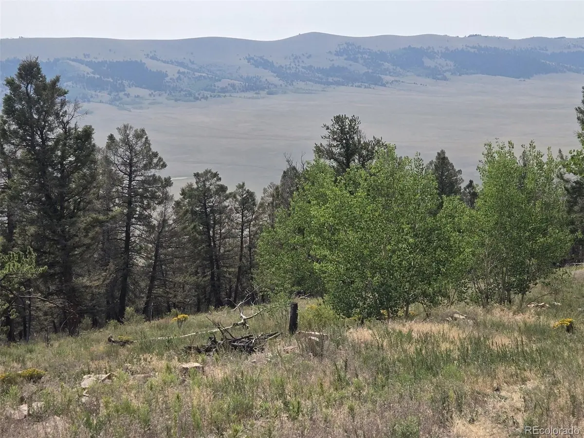 Lot 525 Middle Fork VIS, Fairplay, CO 80440
