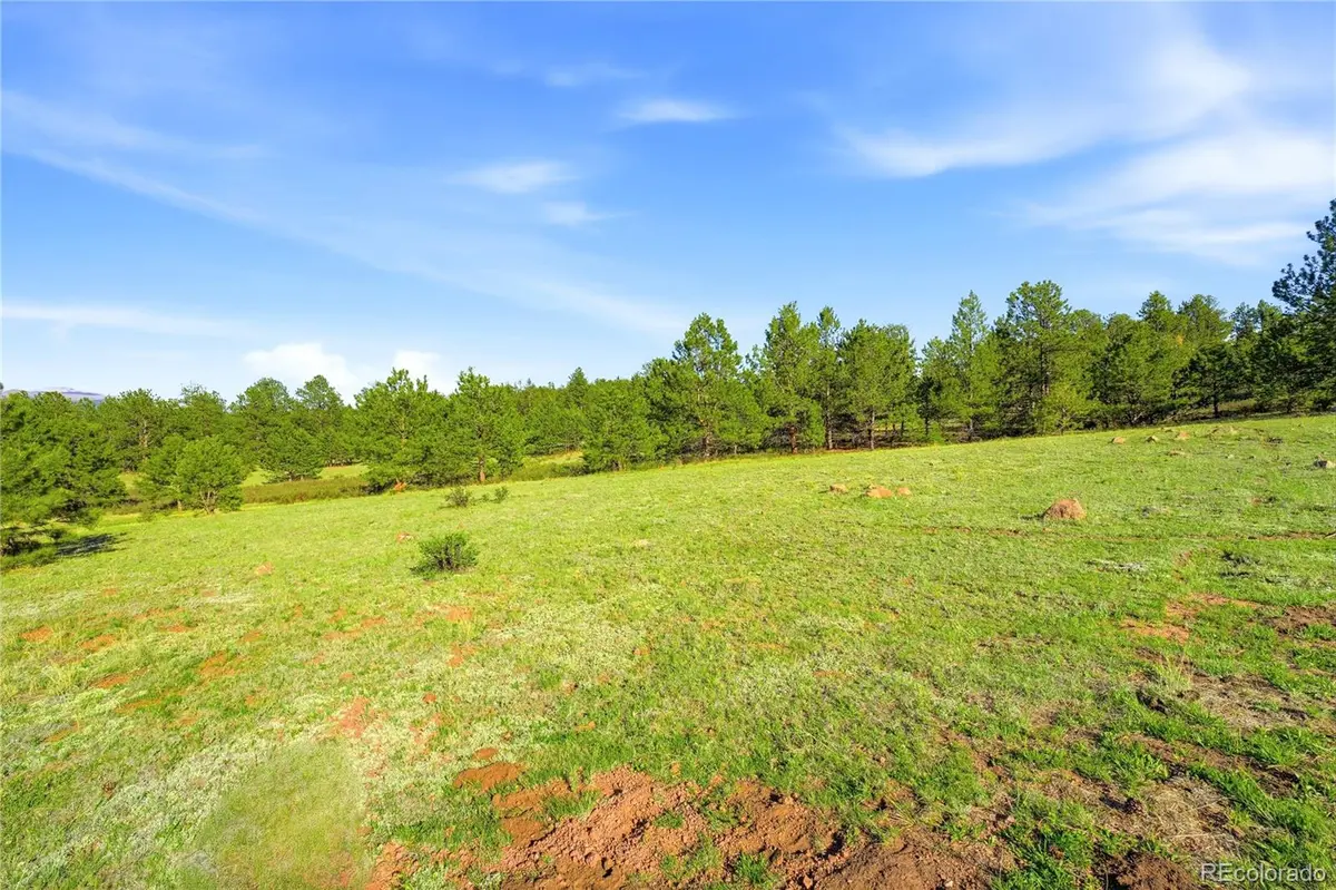 Doe Valley RD, Guffey, CO 80820